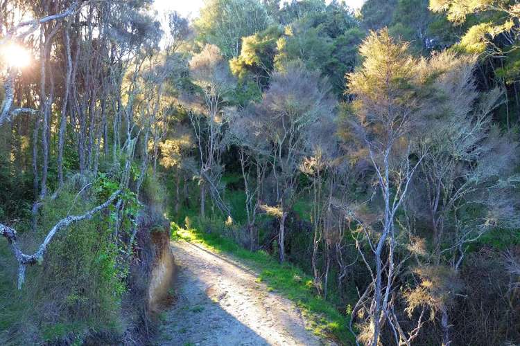 741 Hingarae Road Marotiri_34