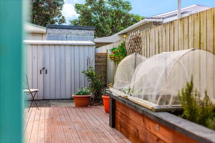 42B Park Road Miramar_24