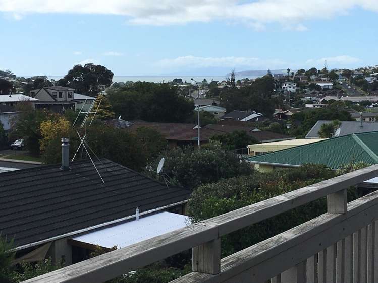 8 Eagle Place Red Beach_1