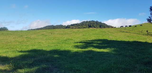 Poland Street Waikino_2