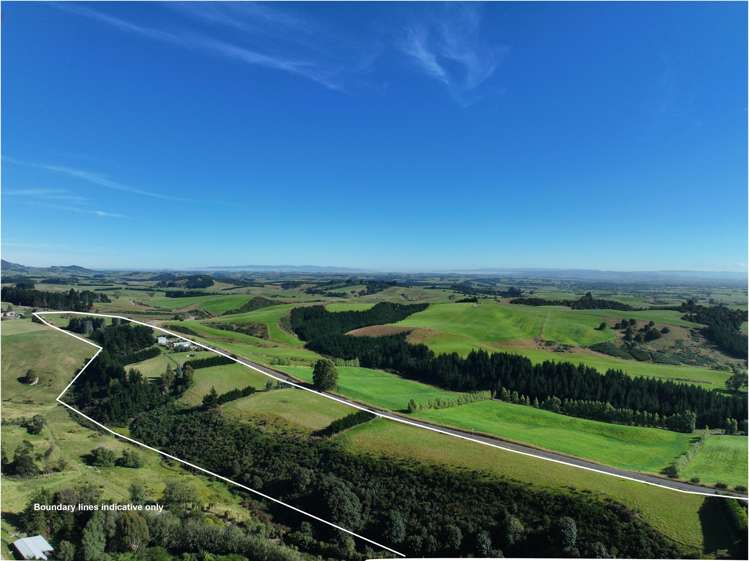 153 Romahapa Road Balclutha_11