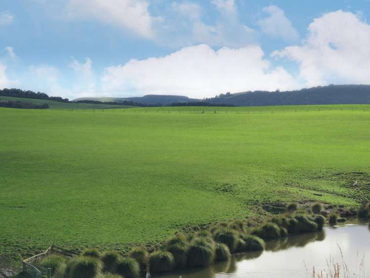 775 Otara Haldane Road Wyndham Surrounds_11