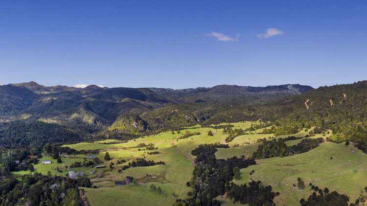 850 Rangihau Road Coroglen_2