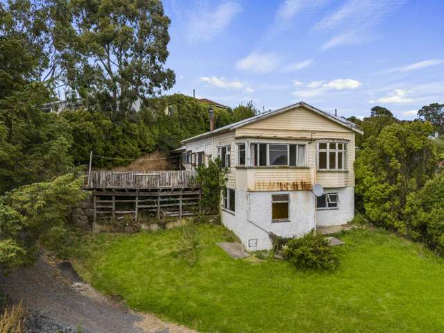 85 Wickliffe Terrace Port Chalmers_2