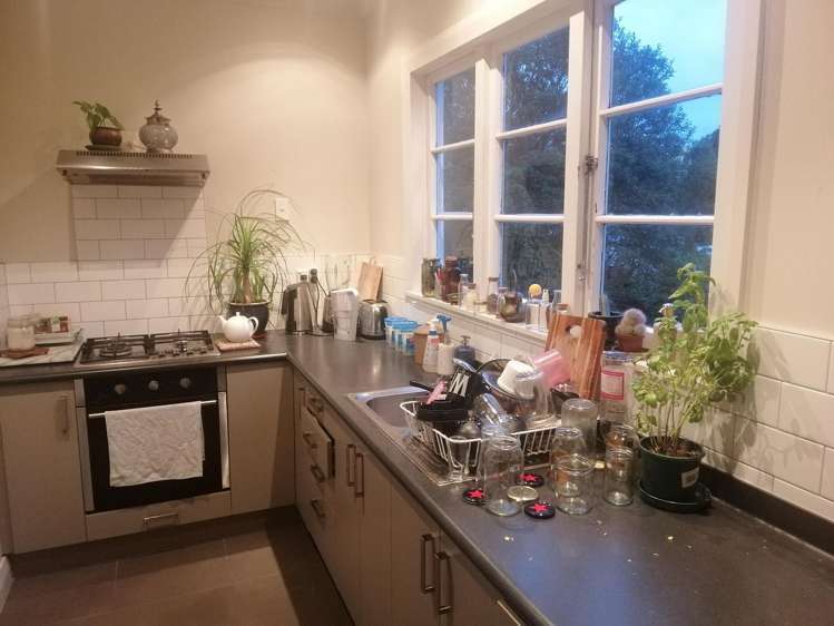 6A Semeloff Terrace Aro Valley_8