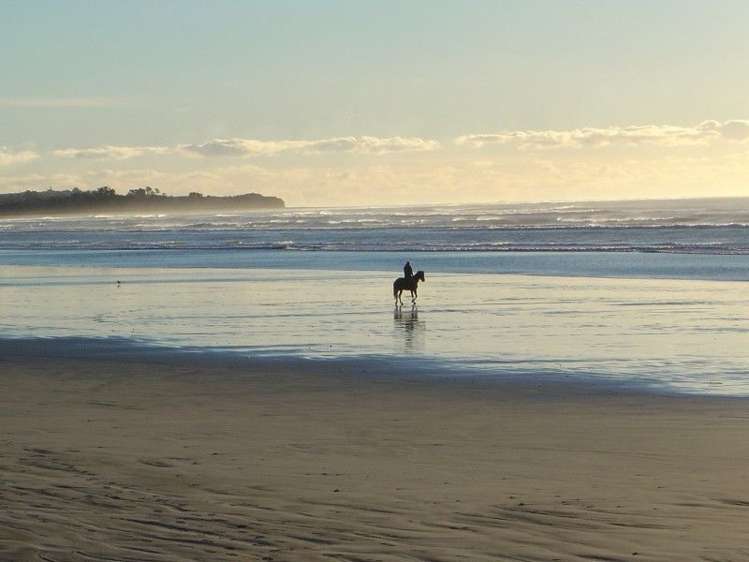 10 Elley Drive Carters Beach_10