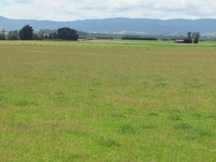 734 Crichton Road Milton_8