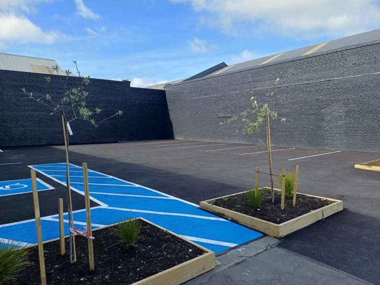 205 Crawford Street Dunedin Central_6