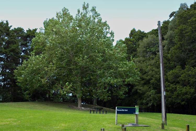 34A Totara Avenue Pukekohe_21