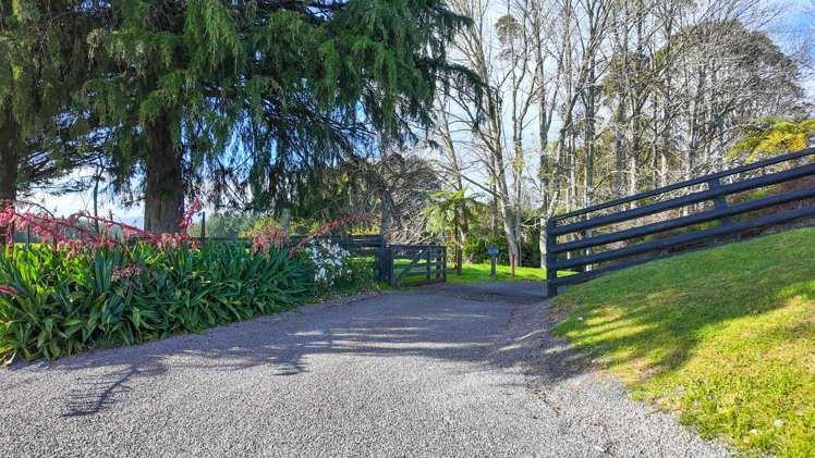 364 Maniatutu Road Rotoiti_11