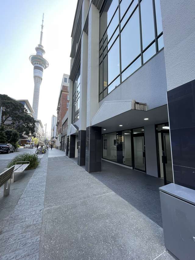 198 Federal Street Auckland Central_3