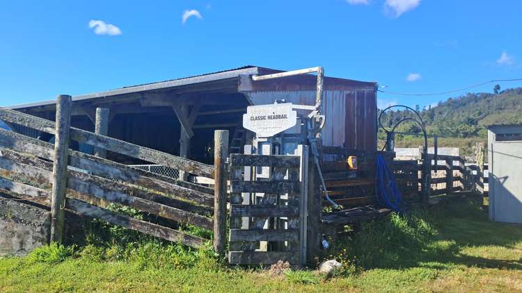 7868 Lower Buller Gorge Road Westport_9