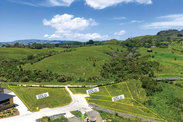 123 Greenslade Road, Waikokowai Lane Raglan_1