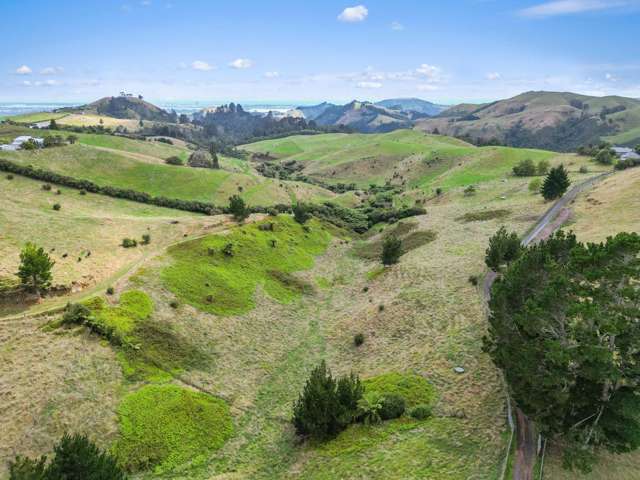405F Rowe Road Ohauiti_2
