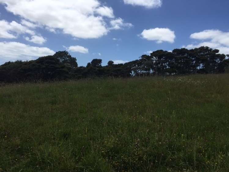 140 Ridge Road Coatesville_6