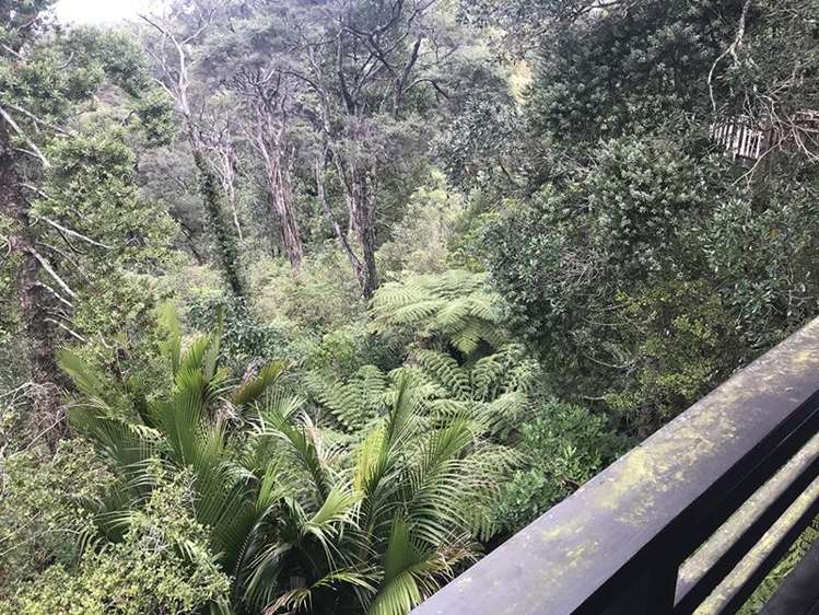 57 Takahe Road Titirangi_13