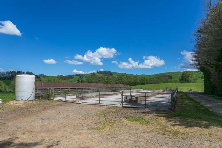 774 Buckland Road Matamata_11