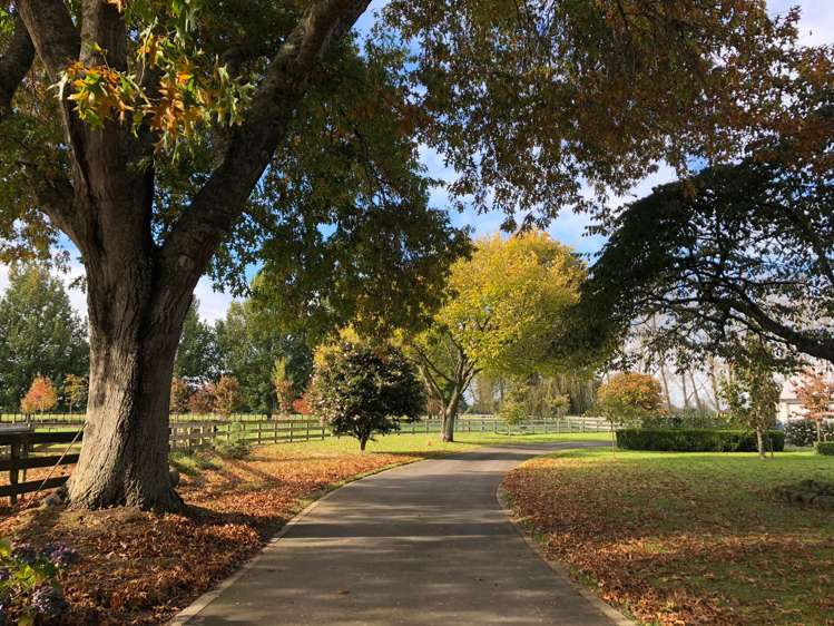 90b Lee Martin Road Tamahere_19