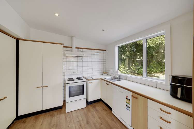 40 Austin Street Sydenham_6