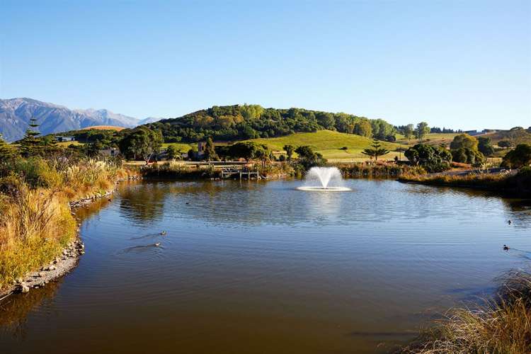 9/1 Kersage Drive Kaikoura_34