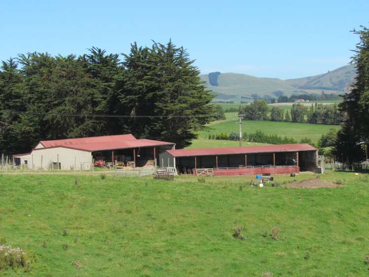 219 Beacon Hill Road Clinton and Surrounds_17