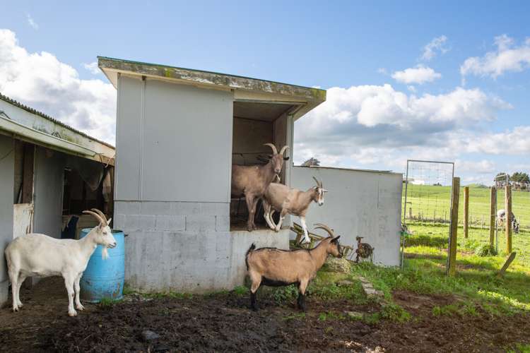 141 Valley Road Woodville_18