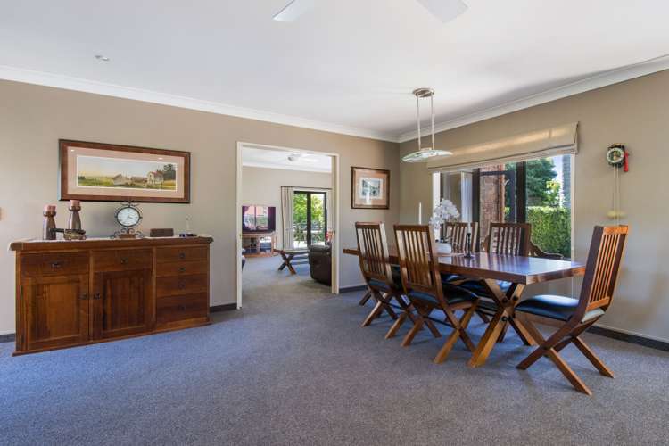 Old Highway Whakamarama_23