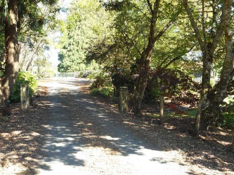 609 State Highway 7 Ikamatua_5