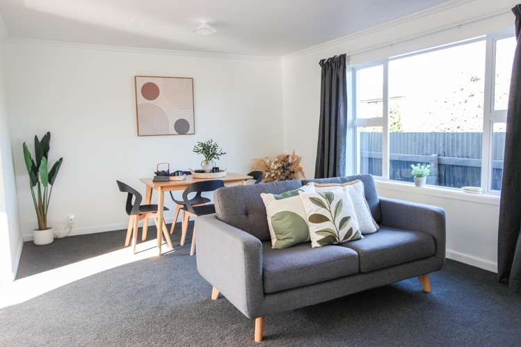 41 Ward Street Waverley_5