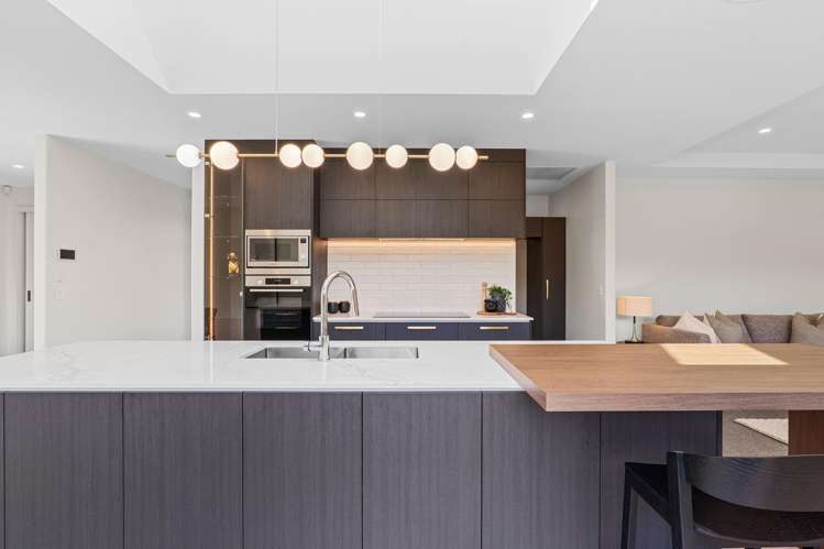 119 Jimmy Adams Terrace Lincoln_8