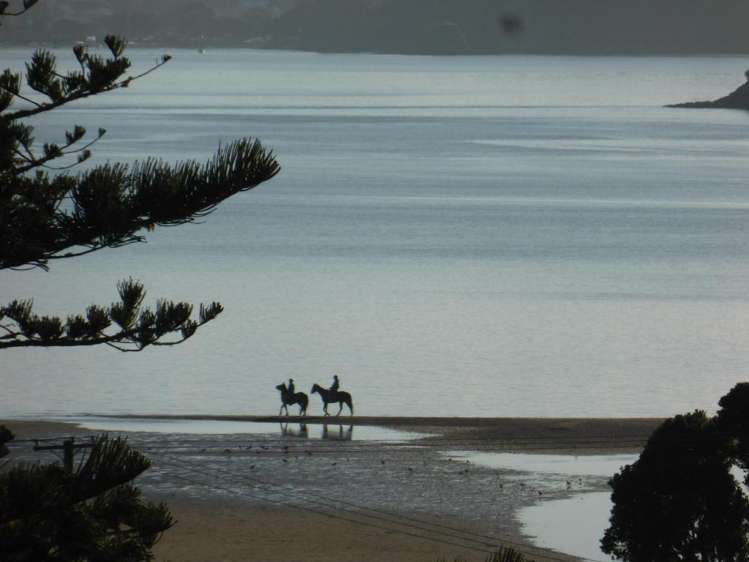 23 Paihia Road Paihia_48