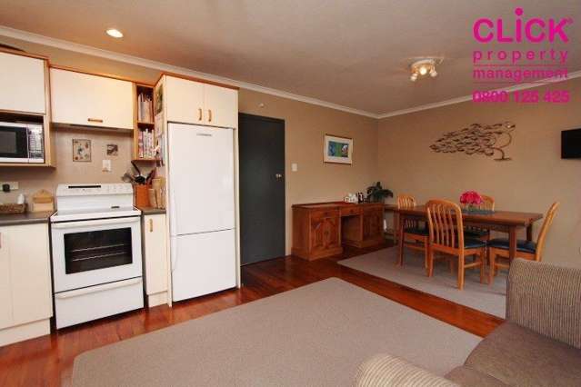 53 Tay Street Mosgiel_2