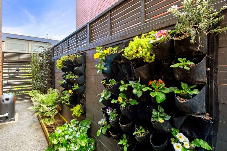 52 Walter Merton Road Hobsonville_16