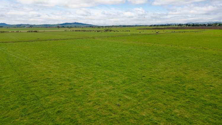 220 Valintine Road Gordonton_23