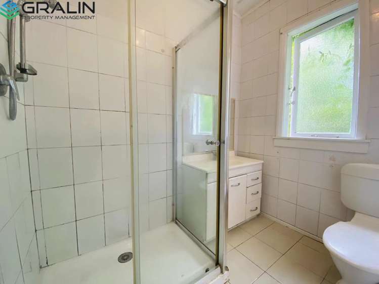 12 Leinster Street New Windsor_8