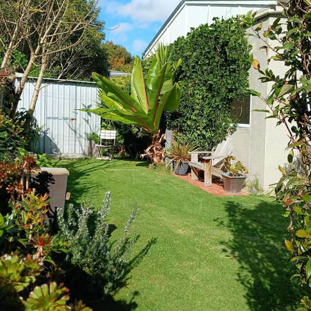 916 Tararu Road Thames-coromandel_4