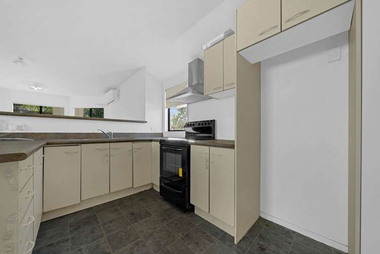 172A White Swan Road Mt Roskill_10