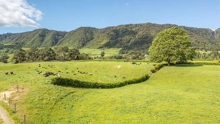 1387 Old Te Aroha Road Matamata_10