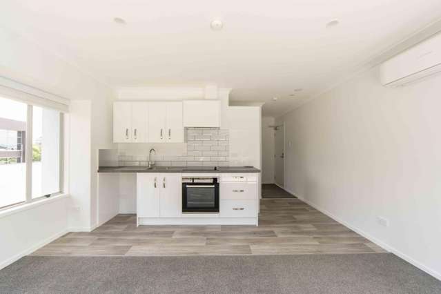 7/2 Ruakiwi Road Hamilton Lake_1