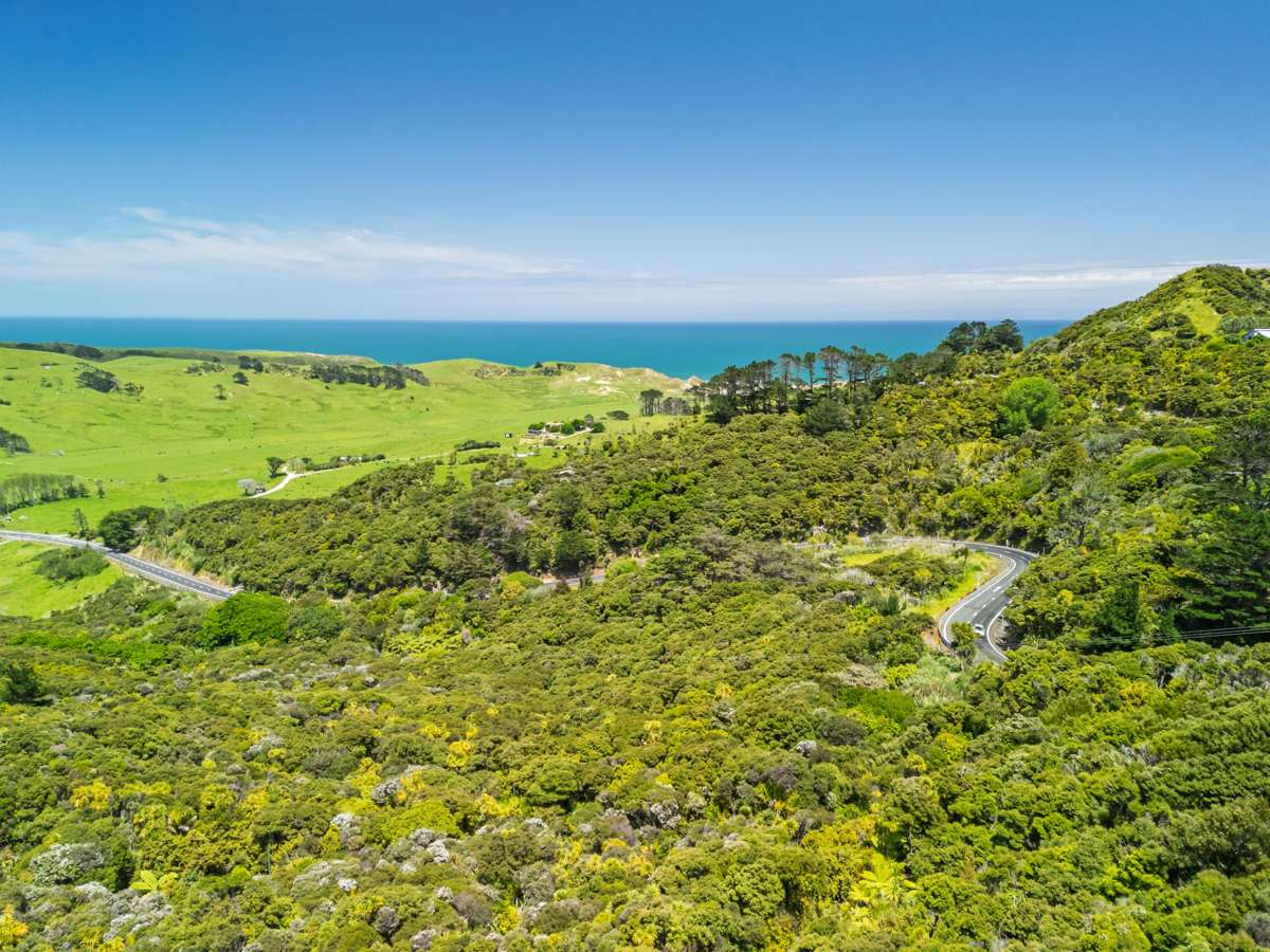 Pt Waiwhatawhata 1A3 State Highway 12_4