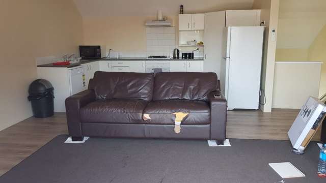 53C York Street Hamilton East_2