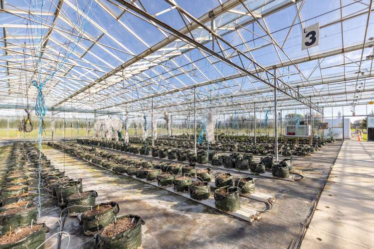 98 Lansdowne Road Richmond_14