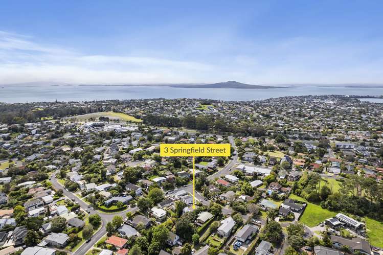 3 Springfield Street Forrest Hill_20