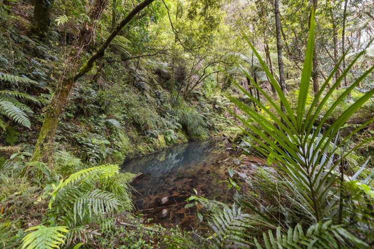 61 Spikes Way Whitianga_30