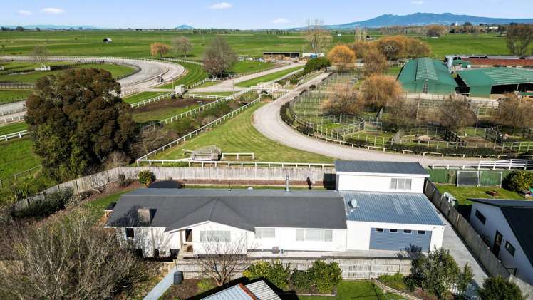 455 Kahikatea Drive_0