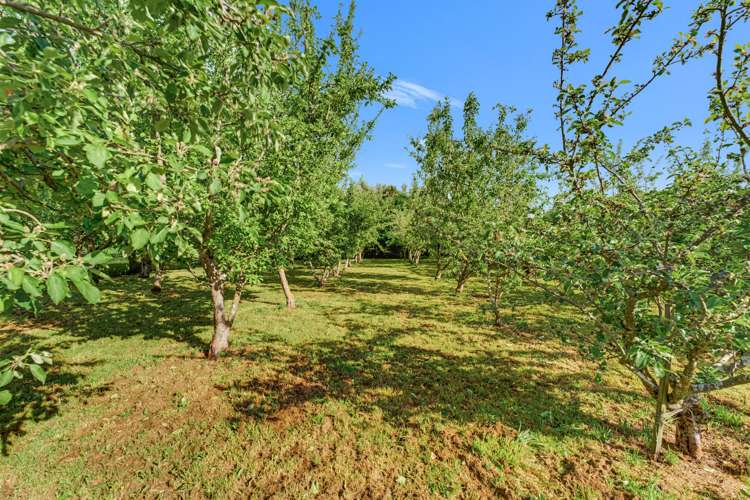 14C Smith Street Waimate_12