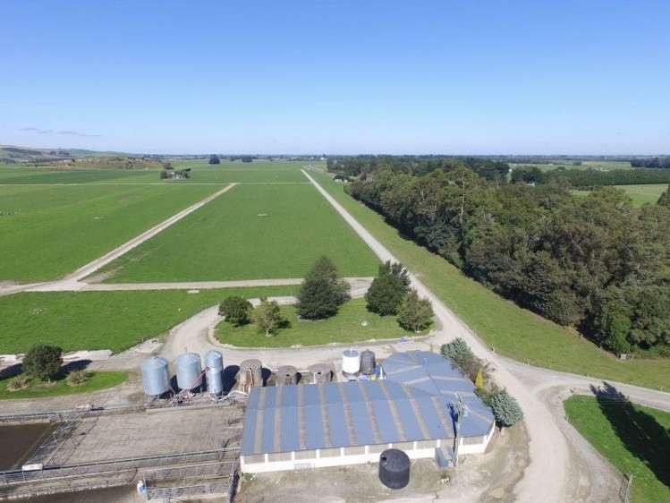 3 Limehills Browns Road Winton Surrounds_1