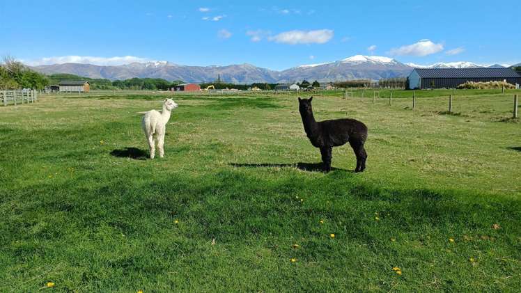 312 Clayton Road Fairlie_31