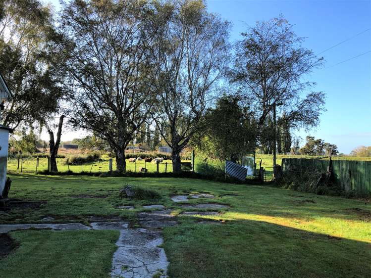 83 Anderson Road Stirling_10