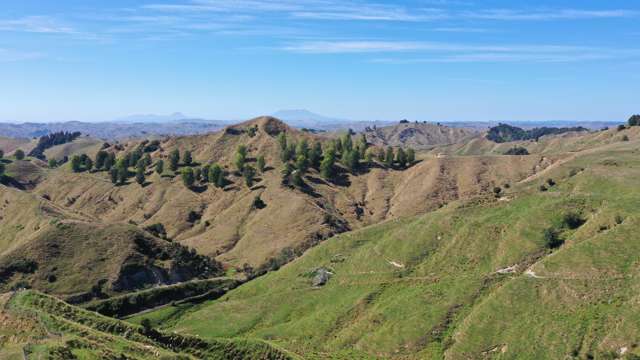 3779 Whanganui River Road (State Highway 43) Ruapehu-King Country Surrounds_4